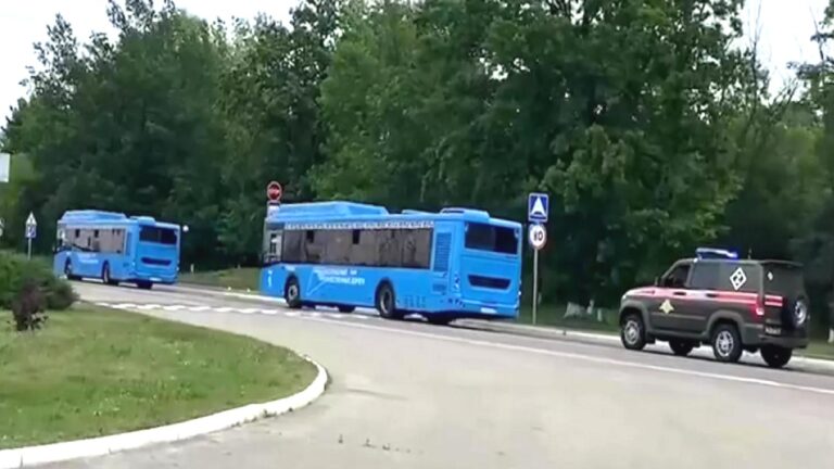 Rusya-Ukrayna takası: İkinci Rus savaş esiri grubu vatanlarına döndü