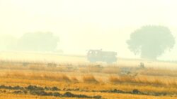 3 ilde orman yangını çıktı: Karayolu ulaşıma kapatıldı