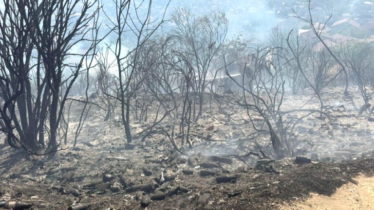 Beykoz’da ormanlık alanda çıkan yangınla ilgili bir kişi gözaltına alındı