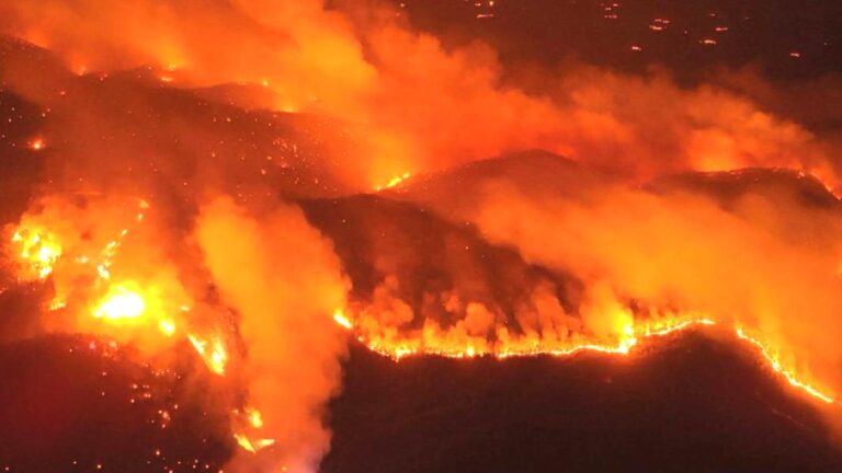Bursa’da yanan ormanlık alan için “ÇED gerekli değil” kararı alınmış, maden sahası ilan edilmiş