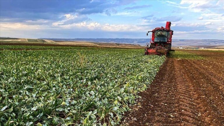 Çiftçilere BAĞ-KUR zorunluluğu geliyor
