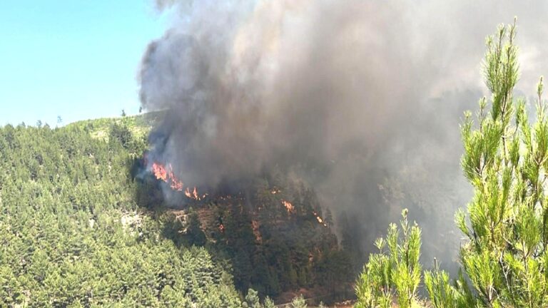 Denizli’de orman yangını çıktı: Ekipler alevlere müdahale ediyor