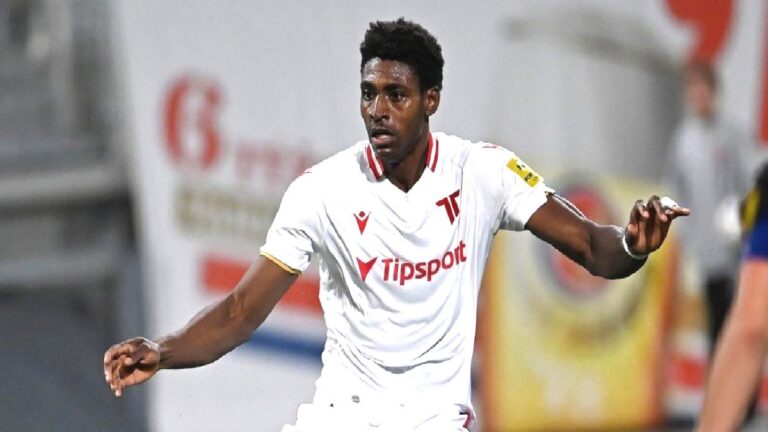 Emeka hamlesi