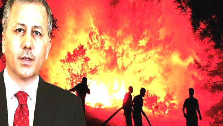 Orman yangınlarıyla ilgili 27 kişi tutuklandı; Bilecik ve İzmir “Genel Hayata Etkili Afet Bölgesi” ilan edildi