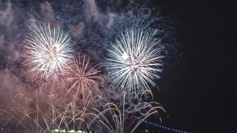 Yalova Valiliği: İkinci bir emre kadar il sınırları içerisinde havai fişek kullanımı yasaklanmıştır