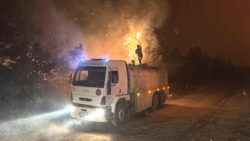 Edirne Enez’de çıkan orman yangınına müdahale ediliyor: İki ev alevler nedeniyle zarar gördü, bazı yazlıklar önlem olarak boşaltıldı