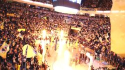 Fenerbahçe Beko’nun yeni sezon öncesi hazırlık programı belli oldu