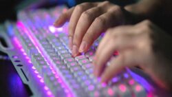 Hackerların hedefi bu kez Hollandalılar oldu: 1.1 milyon Euro fidye istediler