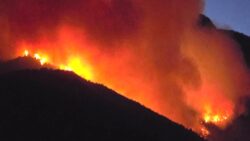 Hatay’da orman yangını çıktı: Karadan alevlere müdahale sürüyor