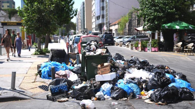 İzmir’de toplanmayan çöpler yola taştı: Sokaklarda fare sayısı arttı