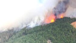 Mudurnu’daki orman yangınına ilişkin 1 kişi tutuklandı