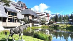 Peskov: Putin ve Trump,  Ukrayna krizinin çözümüyle ilgili konuları ele alacak