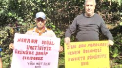 Tüm Köy Sen’den fındık alım fiyatına tepki: Tekellerin çıkarına hizmet etmektedir, bu kararın arkasında AKP hükûmeti vardır!