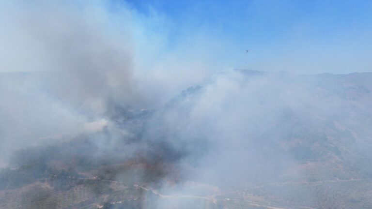 Düzce Yığılca’da yangın: Ekipler karadan ve havadan müdahale ediyor