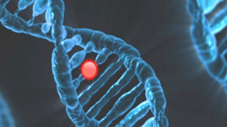 Afganistan’da ilk DNA test laboratuvarı açıldı