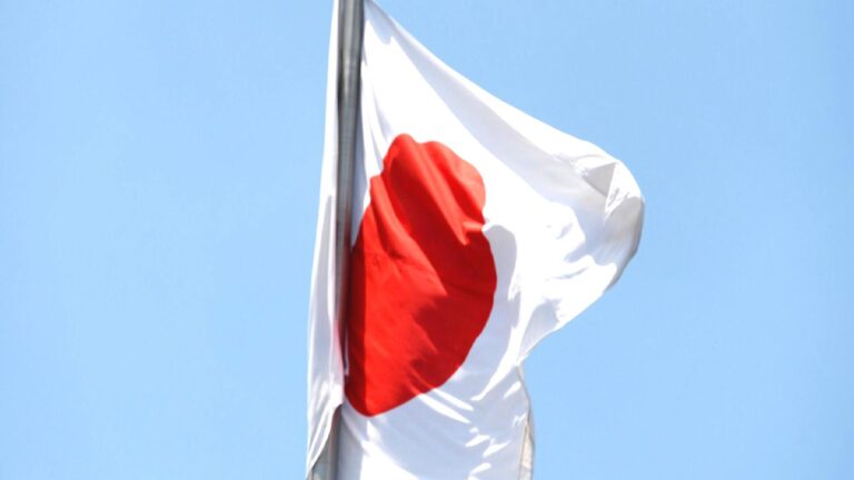 Japonya hükümeti istifa etti