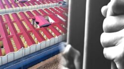 “Kuyu tipi” hapishanelerin kapatılması için eylem: İnsanlık onuruna yaraşır koşulların bir an önce sağlanmasını talep ediyoruz