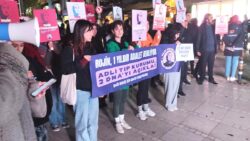 Rojin Kabaiş için Kadıköy’de eylem: Hangi ilişkiler açığa çıkmasın diye bu kadar engel çıkarılıyor