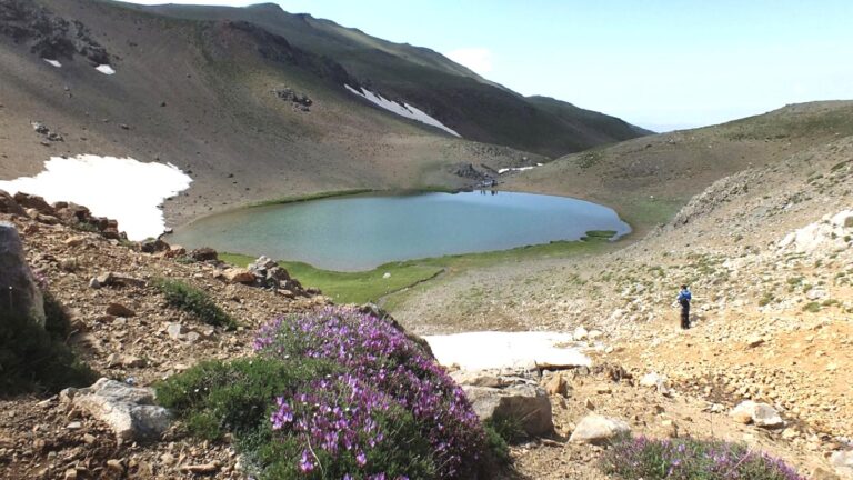 Tunceli Barosu’ndan Aleviler için kutsal sayılan alanda madencilik faaliyetlerine tepki: Hem doğa hem inanç ihlal ediliyor