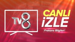TV8 Türkiye maçı CANLI İZLE | Türkiye – Gürcistan maçı şifresiz izle (TV8 frekans bilgisi)