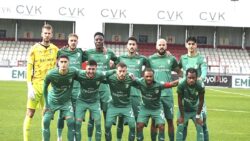 Milli ara yaramadı