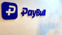 Paybull’a yasa dışı bahis operasyonunda el konulmuştu: 13 kişi tutuklandı