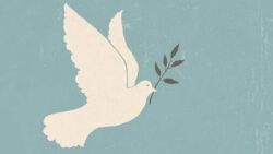 Barışın toplumsallaşması: 1975–1978 İspanya deneyiminden Türkiye’ye bir yol haritası