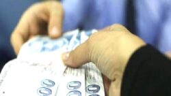 Çalışanların yaklaşık yarısı asgari ücret ve altında kazanıyor, iki asgari ücret ve altında kazananların oranı yüzde 87,3