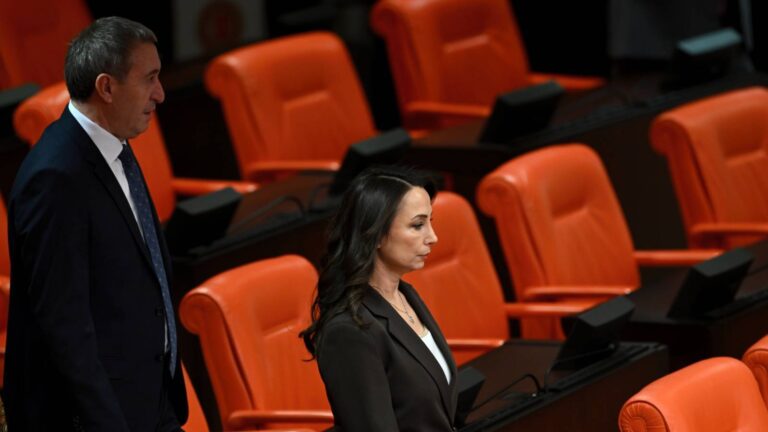 Hatimoğulları: Silahsızlanmanın hızlanmasını sağlayacak olan özel bir yasanın çıkarılmasını bekliyoruz