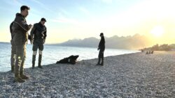 Balık tutarken oltaya ceset takıldı: Polis inceleme başlattı