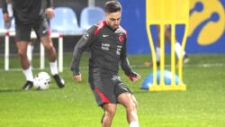 Yerli harekatı devam ediyor