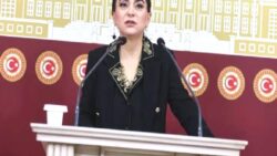 DEM Partili Koçyiğit: Diyar Koç’a refakat eden ve Kürt halkını sarı torbalarla tehdit eden hemşire için suç duyurusunda bulunuyoruz!