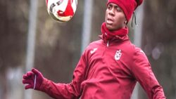 Düşük bütçe yüksek verim