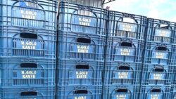 Fenerbahçeli taraftar N’Golo Kante’ye sevgisini böyle gösterdi