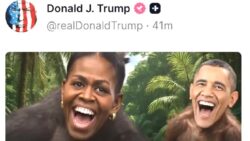 Trump’tan ırkçı paylaşım: Barack ve Michelle Obama’yı maymun olarak gösterdi