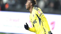 Desteğiniz için teşekkürler