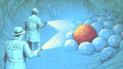 ‘Bilim kurgu gibi’: Yeni bağışıklık sistemi tedavileri kanserle nasıl savaşıyor?