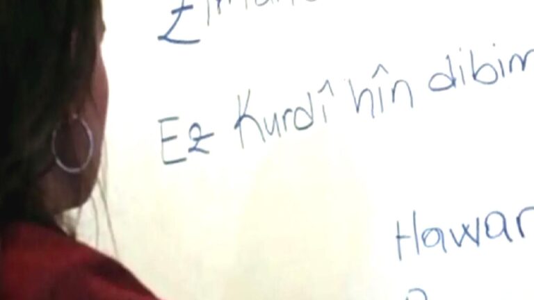 DEM Parti’nin ana dil önergelerine bakanlıklardan “sorun yok” yanıtı
