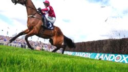 Kazandığı yarış sırasında sakatlanan “Gold Dancer” hayatını kaybetti