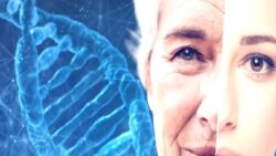 Rusya, hücresel yaşlanmaya karşı aşı geliştiriyor