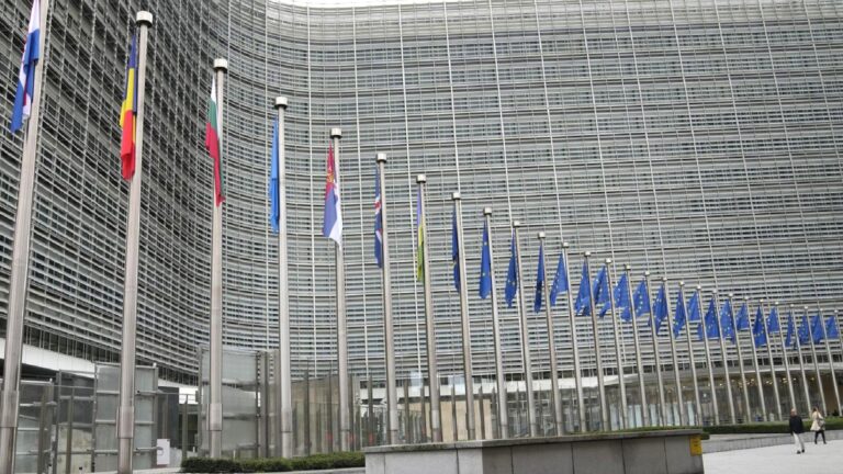 AB, NATO’nun dikkate alınmadığı karşılıklı yardım maddesinin uygulanmasını test etti