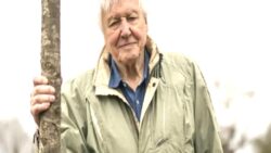 David Attenborough: Doğaya bakışımızı değiştiren belgeselci 100 yaşında