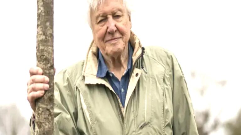 David Attenborough: Doğaya bakışımızı değiştiren belgeselci 100 yaşında