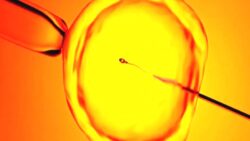 Kısırlık tedavisinde yeni umut: Yeni teknoloji yapay zekayla sperm buluyor