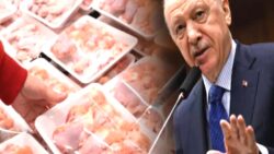 AKP kulislerinde tavuk şirketlerine operasyon gerginliği: Bizim arkadaşlar devreye girmeseydi rezalet büyüyecekti!