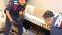 Antalya merkezli 27 ilde bahis operasyonu: 72 kişi gözaltına alındı
