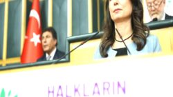 Hatimoğulları’ndan çıplak aramaya maruz kaldığını anlatan Medya AŞ Genel Müdürü Fatoş Pınar Türker’e destek