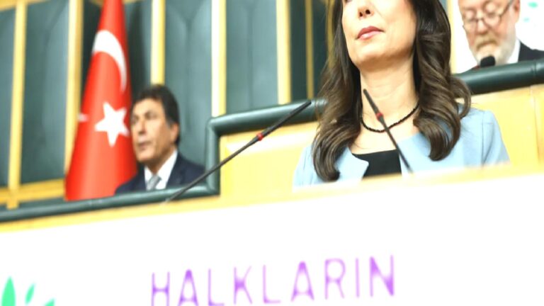 Hatimoğulları’ndan çıplak aramaya maruz kaldığını anlatan Medya AŞ Genel Müdürü Fatoş Pınar Türker’e destek