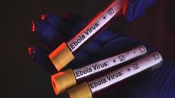 Kongo Demokratik Cumhuriyeti’ndeki Ebola salgınında vaka sayısı 3 bini aştı