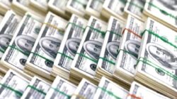 Dolarda dört haftanın en hızlı yükselişi